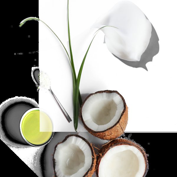 Ulta BEVEL  Moisturizing Conditioner With Shea And Coconut Oil