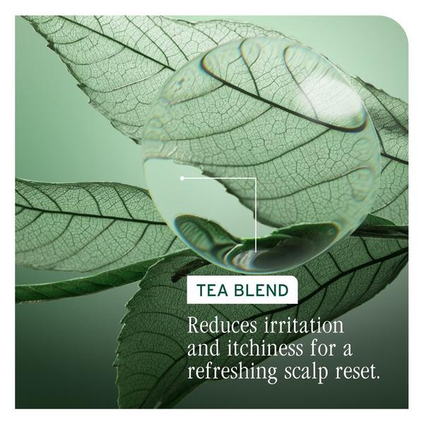 Ulta Biolage  Scalp Sync Oil Balancing Serum For All Scalp Types