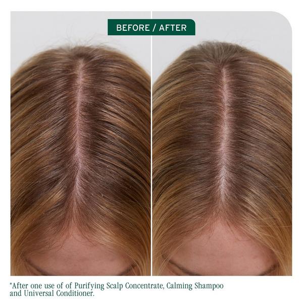Ulta Biolage  Scalp Sync Purifying Concentrate For All Scalp Types