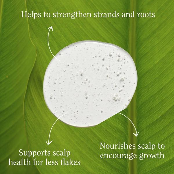 Ulta California Naturals  Re:GRO Anti-Thinning Shampoo