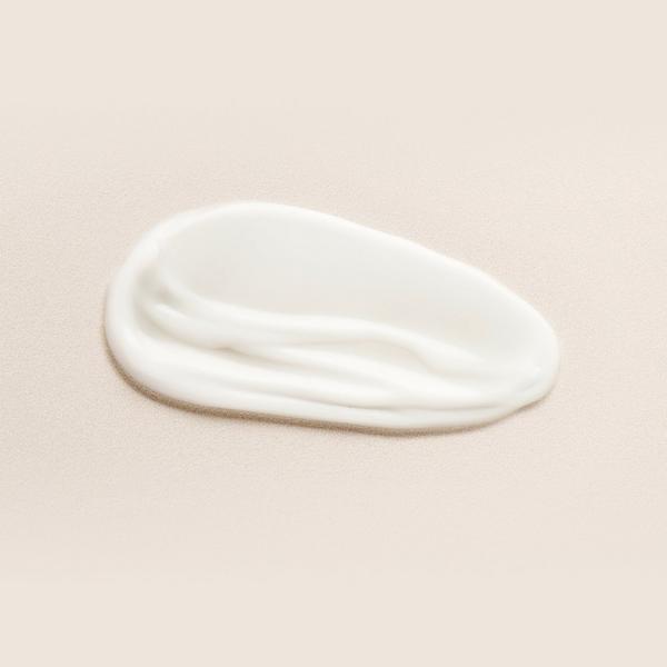 Ulta DIME  Restorative Night Cream With Ceramide + Camellia