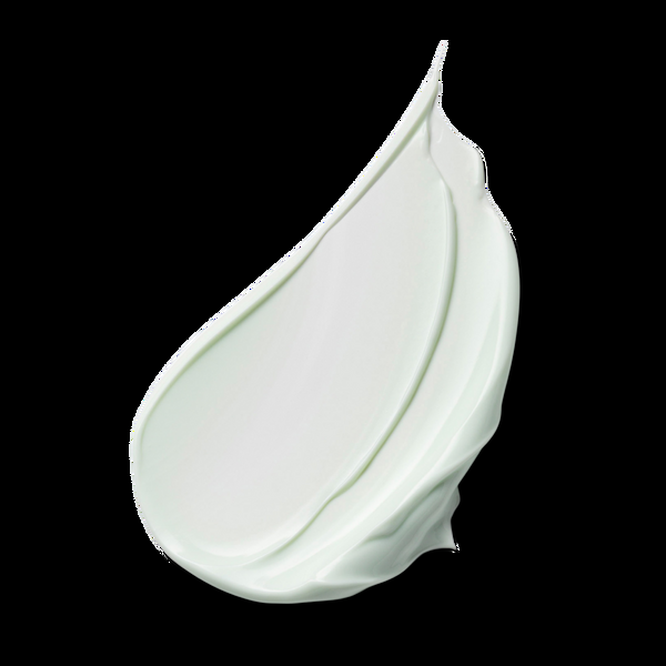 Ulta Estée Lauder  Mini DayWear Advanced Multi-Protection Anti-Oxidant 24H Moisturizer Crème SPF 15