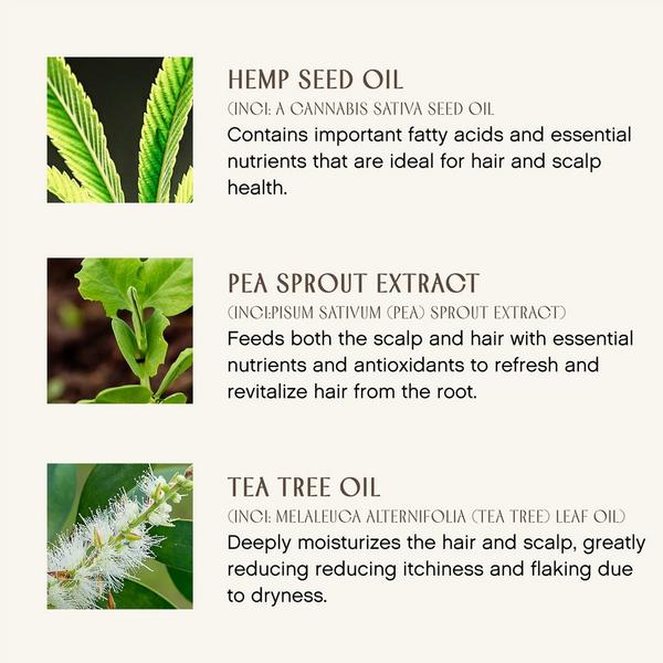 Ulta Innersense Organic Beauty  Hair Renew Scalp Daily Active Serum