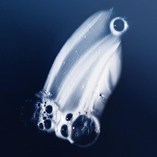 Ulta Living Proof  Travel Size Perfect Hair Day Shampoo