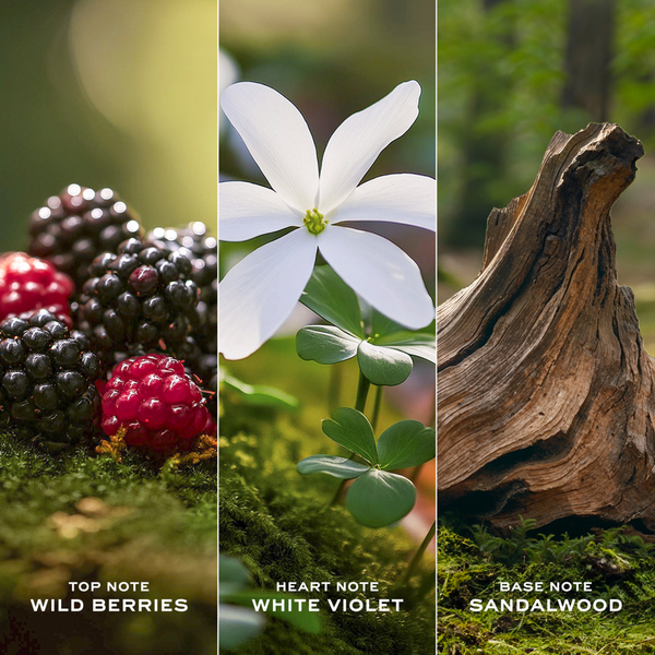 Ulta Marc Jacobs  Daisy Eau De Toilette Duo 2-Piece Gift Set