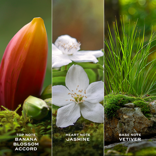 Ulta Marc Jacobs  Perfect And Daisy Wild 2-Piece Mini Gift Set