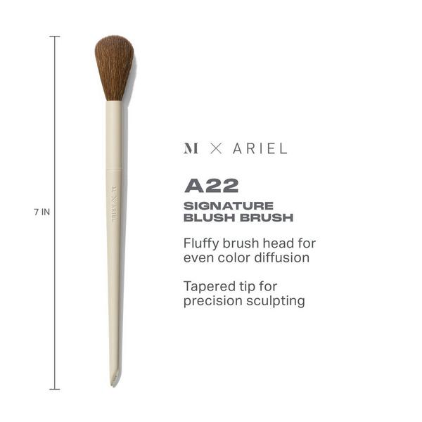 Ulta Morphe  Morphe X Ariel A22 Signature Blush Brush