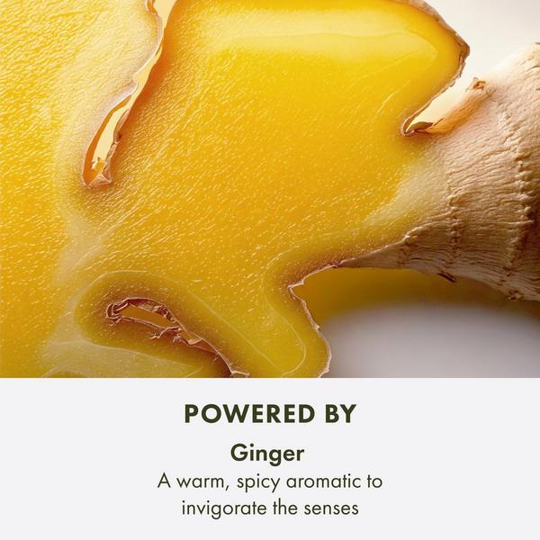 Ulta Origins  Ginger Essence Sensuous Skin Perfume Scent