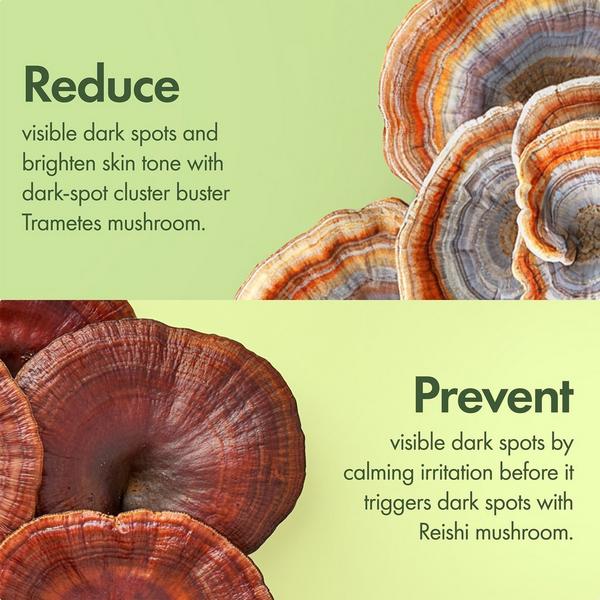 Ulta Origins  Mega-Mushroom Dark Spot Brightening Face Serum