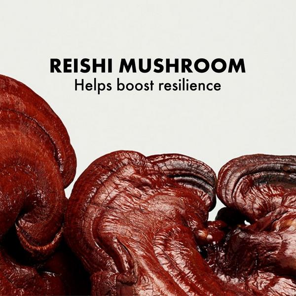 Ulta Origins  Mega-Mushroom Skin Relief Micellar Cleanser