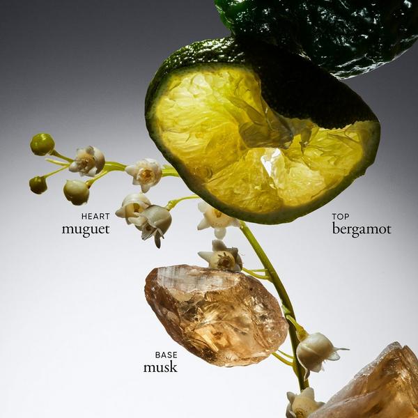 Ulta Philosophy  Amazing Grace Firming Body Emulsion