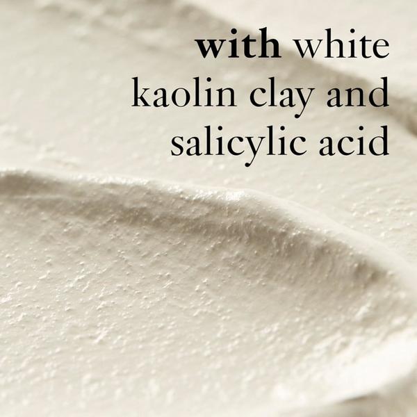 Ulta Philosophy  Purity Made Simple Pore Extractor Exfoliating Clay Mask