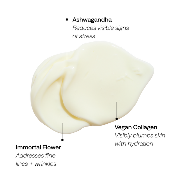 Ulta PROVENCE Beauty  Daydream Crème Daily Lightweight Moisturizer