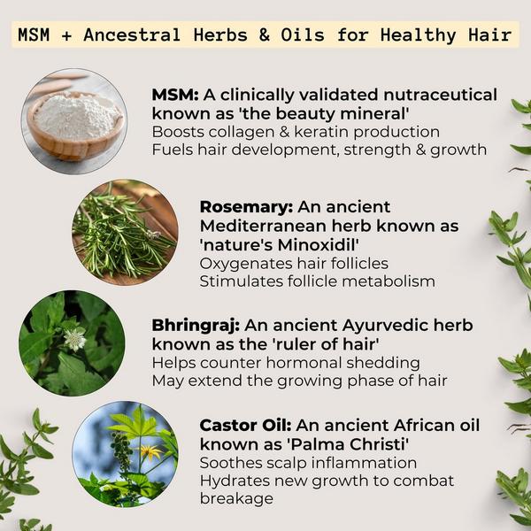 Ulta Qhemet Biologics  MSM + ROSEMARY Scalp Nutrients Balm