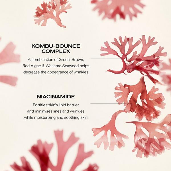 Ulta Shiseido  Benefiance Wrinkle Smoothing Cream Enriched