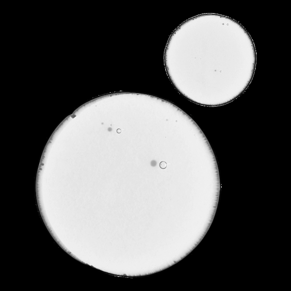 Ulta The Ordinary  Balancing & Clarifying Serum For Oily Skin And Pore Refinement