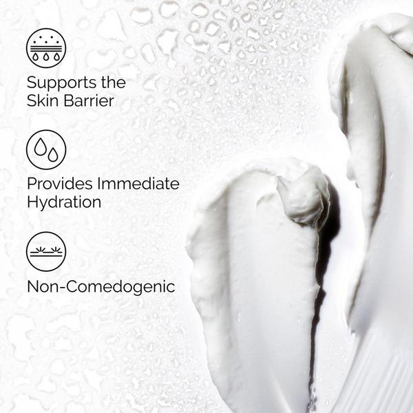 Ulta The Ordinary  Natural Moisturizing Factors + Hyaluronic Acid Daily Moisturizer