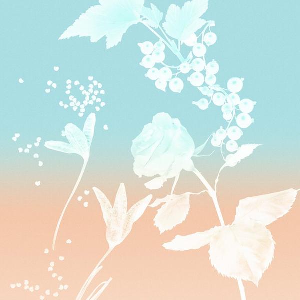 Ulta Tiffany & Co.  Rose Gold Eau De Parfum 3-Piece Gift Set