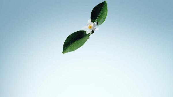 Ulta Tiffany & Co.  Tiffany & Love Eau De Parfum 3-Piece Gift Set