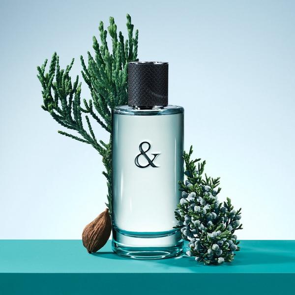 Ulta Tiffany & Co.  Tiffany & Love Eau De Toilette For Him