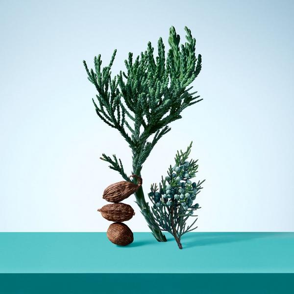 Ulta Tiffany & Co.  Tiffany & Love Eau De Toilette For Him