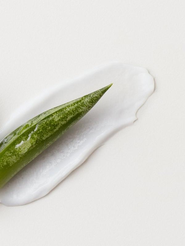 Ulta AG Care  Fast Food Leave-On Conditioner