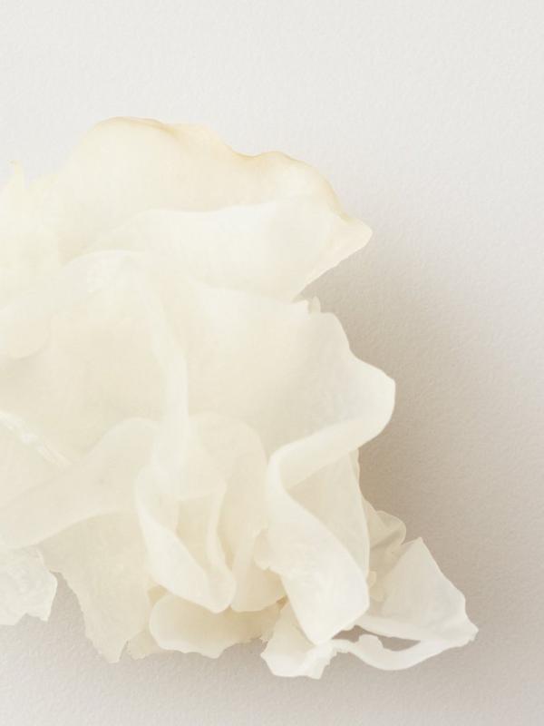 Ulta AG Care  Nourish Snow Mushroom Moisture Mask