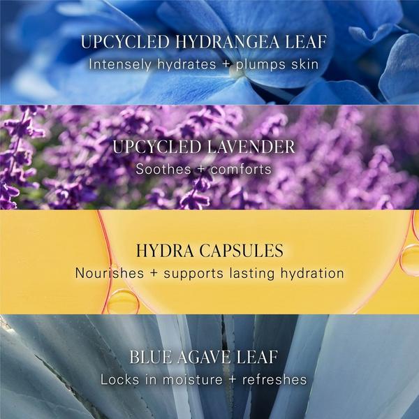 Ulta BYROE  Hydrangea Tea Intensive Hydration Serum