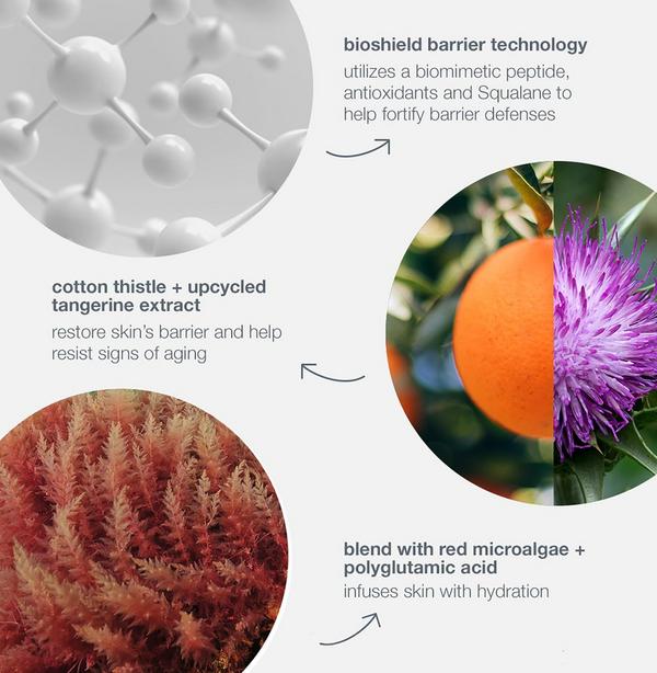 Ulta Dermalogica  Dynamic Skin Strengthening Serum