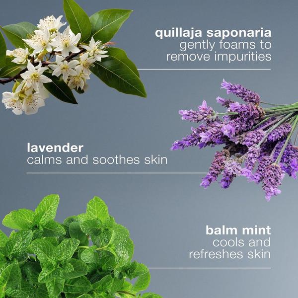 Ulta Dermalogica  Special Cleansing Gel