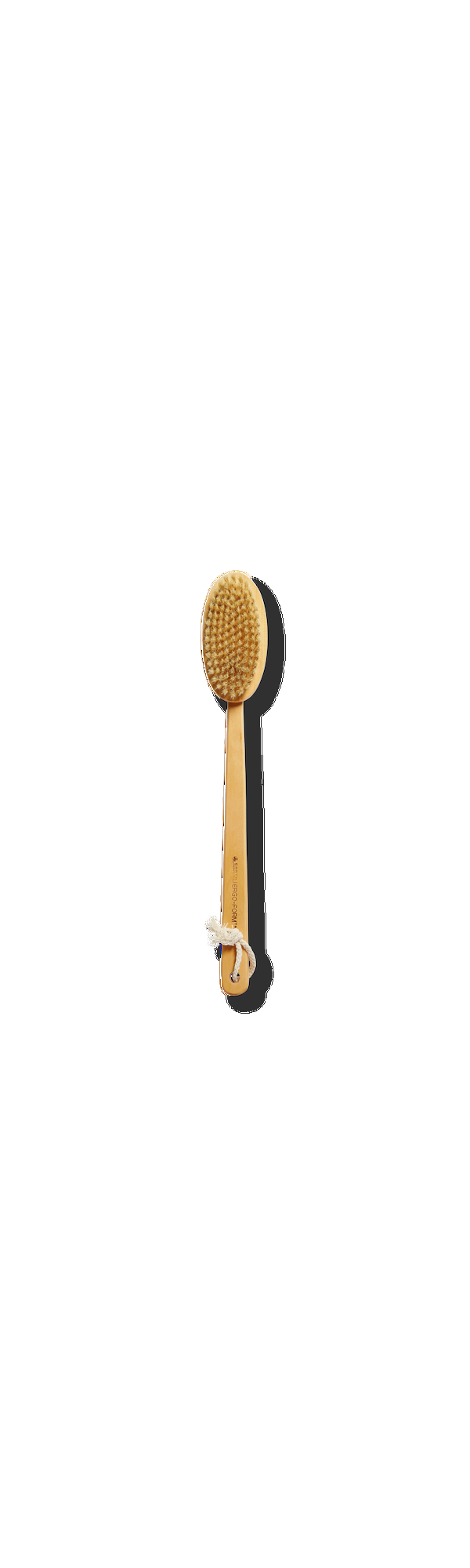 Ulta Earth Therapeutics  Far-Reaching Body Brush