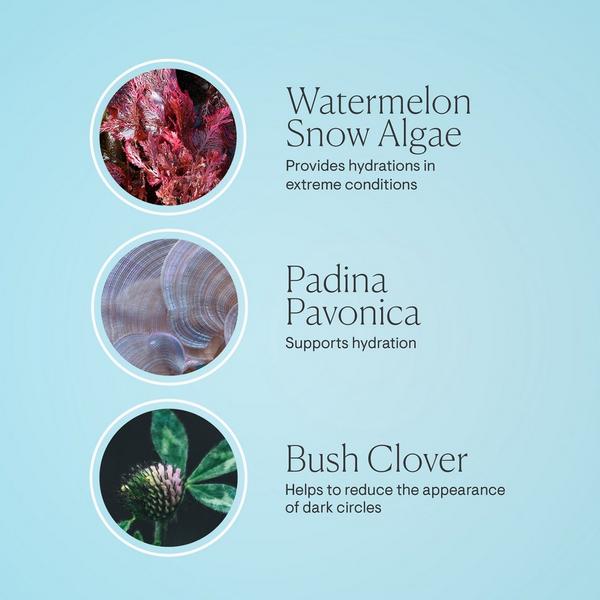 Ulta ELEMIS  Pro-Collagen Eye Revive Mask