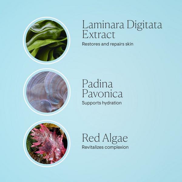 Ulta ELEMIS  Pro-Collagen Hydrating Night Cream