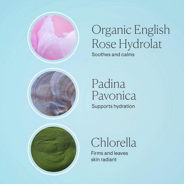 Ulta ELEMIS  Pro-Collagen Rose Marine Cream