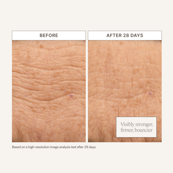 Ulta ILIA  Barrier Build Skin Protectant Cream