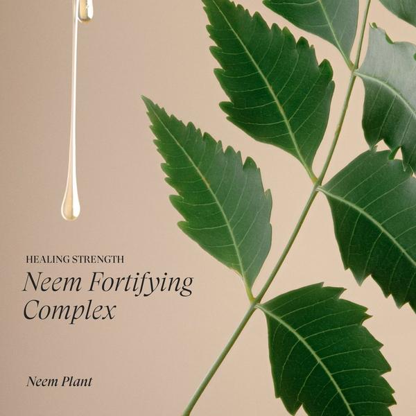 Ulta L'anza  Healing Strength Detangling Primer