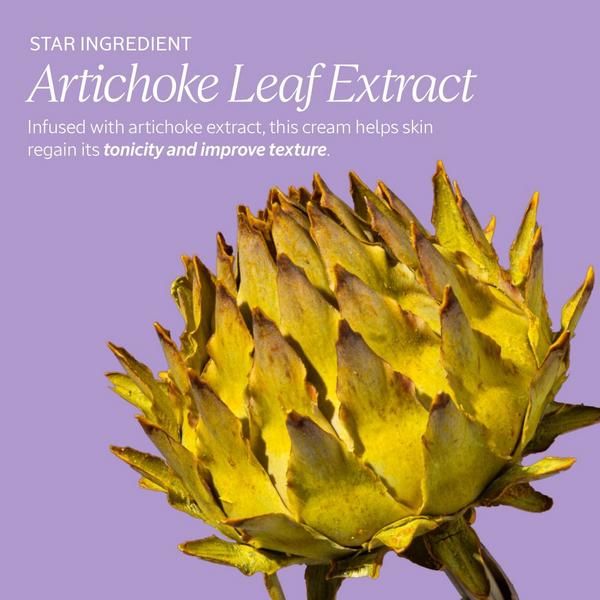 Ulta L'Occitane  Artichoke Warming Body Scrub