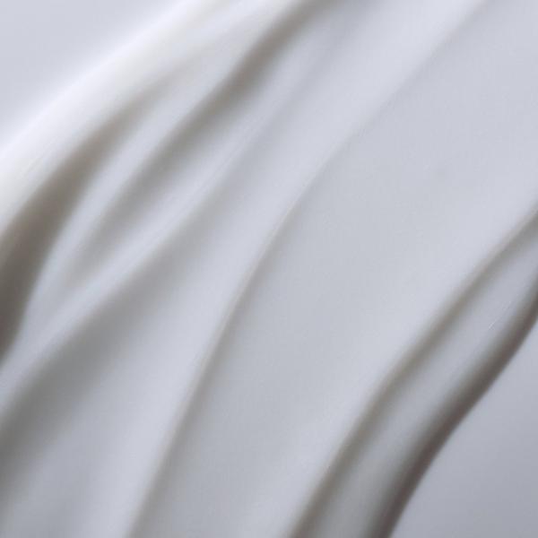 Ulta Living Proof  No Frizz Conditioner