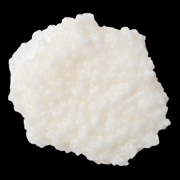 Ulta LUSH  Big Shampoo