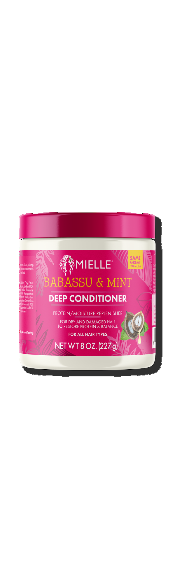 Ulta Mielle  Babassu Oil & Mint Deep Conditioner