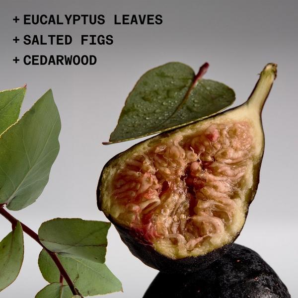 Ulta NOYZ  Sh**ty Day Eau De Parfum