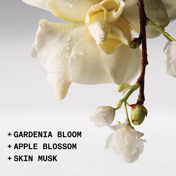 Ulta NOYZ  The Solid Fragrance - Detour