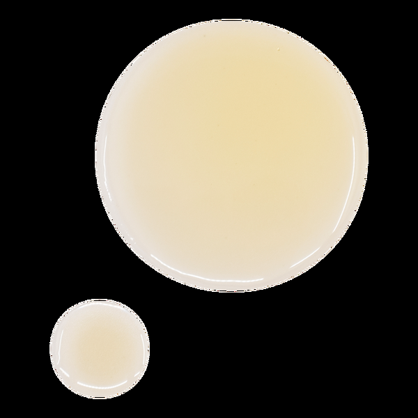 Ulta OSEA  Undaria Algae Body Oil