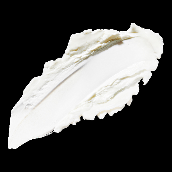 Ulta Paul Mitchell  Tea Tree Shaping Cream