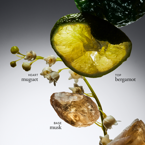 Ulta Philosophy  Amazing Grace Eau De Toilette