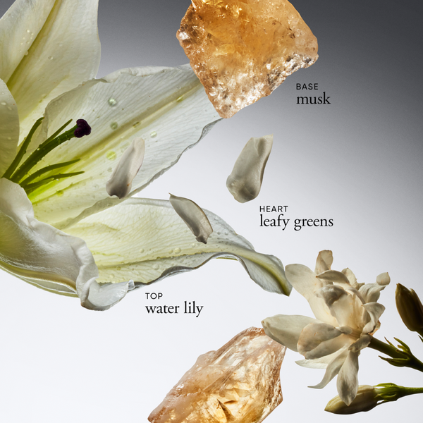 Ulta Philosophy  Pure Grace Eau De Parfum