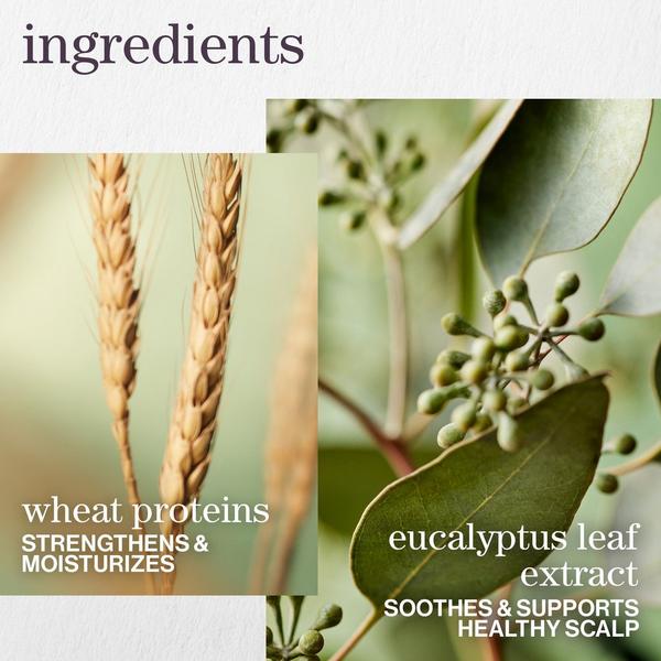 Ulta Pureology  Hydrate Sheer Shampoo