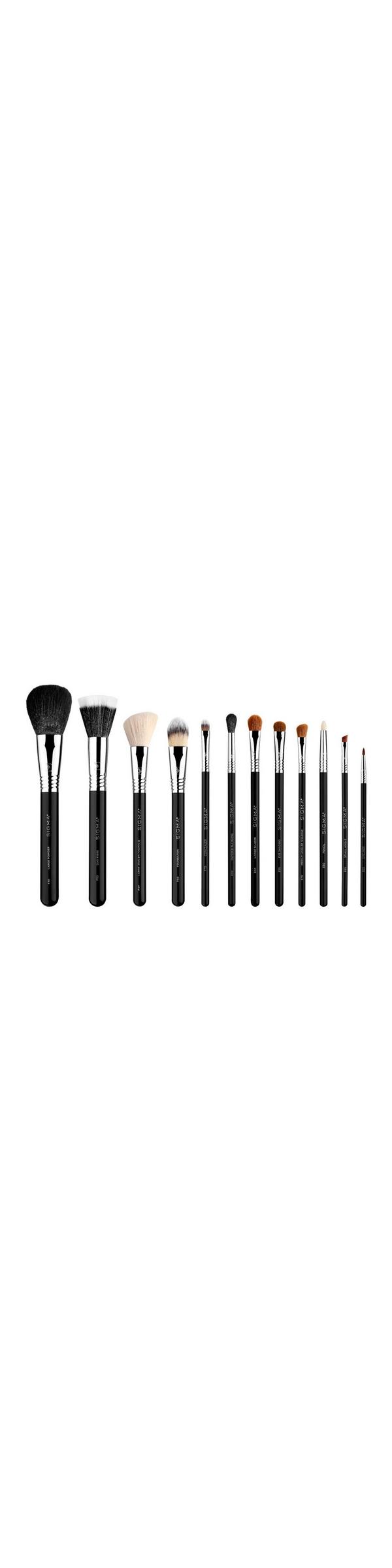 Ulta Sigma Beauty  Essential Brush Set
