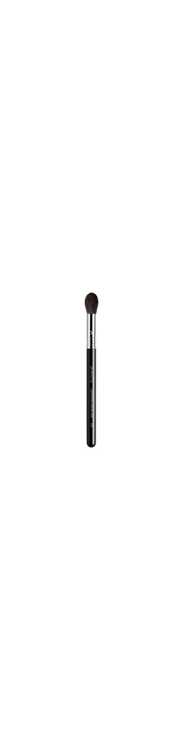 Ulta Sigma Beauty  F64 Soft Blend Concealer Brush