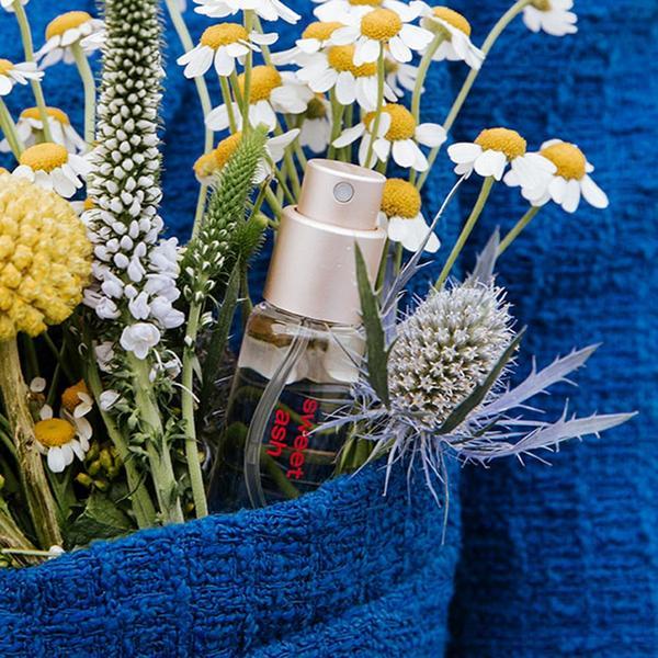 Ulta Snif  Mini Bundle Eau De Toilette